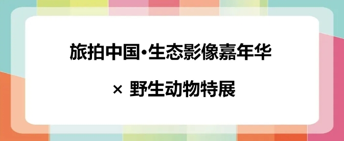 21105433j3k6.png